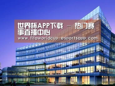案例展示五