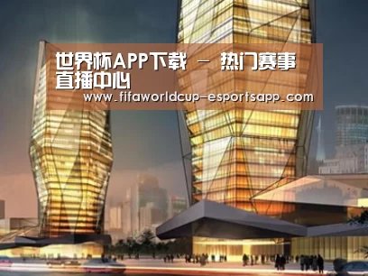 案例展示三