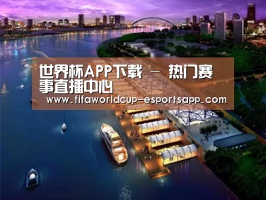 案例展示八