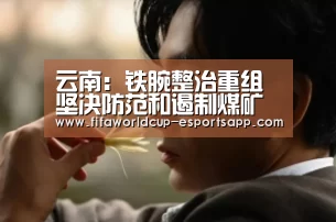 云南:铁腕整治重组坚决防范和遏制煤矿生产安全事故发生-世界杯综合娱乐平台(图1) 世界杯APP下载