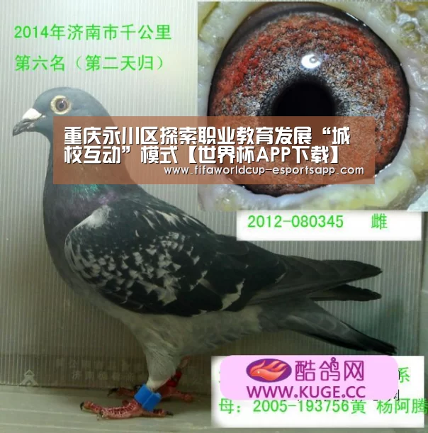 重庆永川区探索职业教育发展“城校互动”模式【世界杯APP下载】(图1) 世界杯APP下载