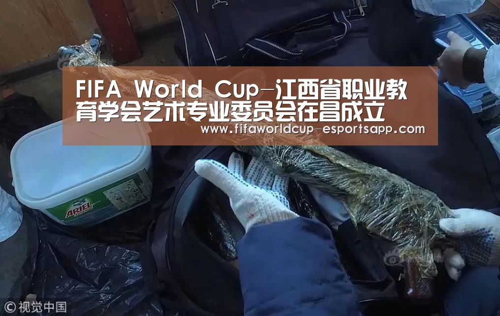 FIFA World Cup-江西省职业教育学会艺术专业委员会在昌成立(图1) 世界杯APP下载