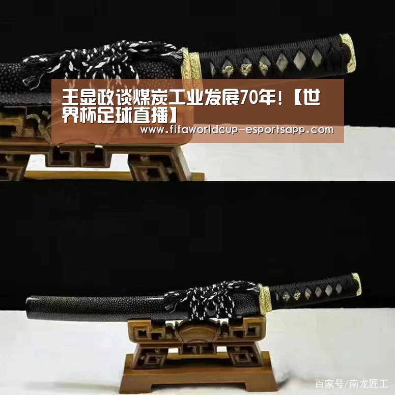 王显政谈煤炭工业发展70年!【世界杯足球直播】(图1) FIFA World Cup