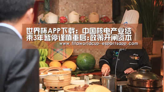 世界杯APP下载:中国核电产业结束3年暂停谨慎重启:政策开闸资本入局(图2) 世界杯足球直播
